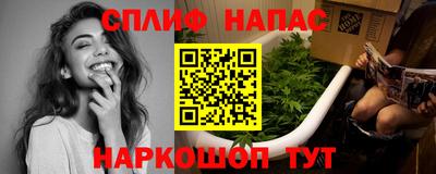 МДПВ Будённовск
