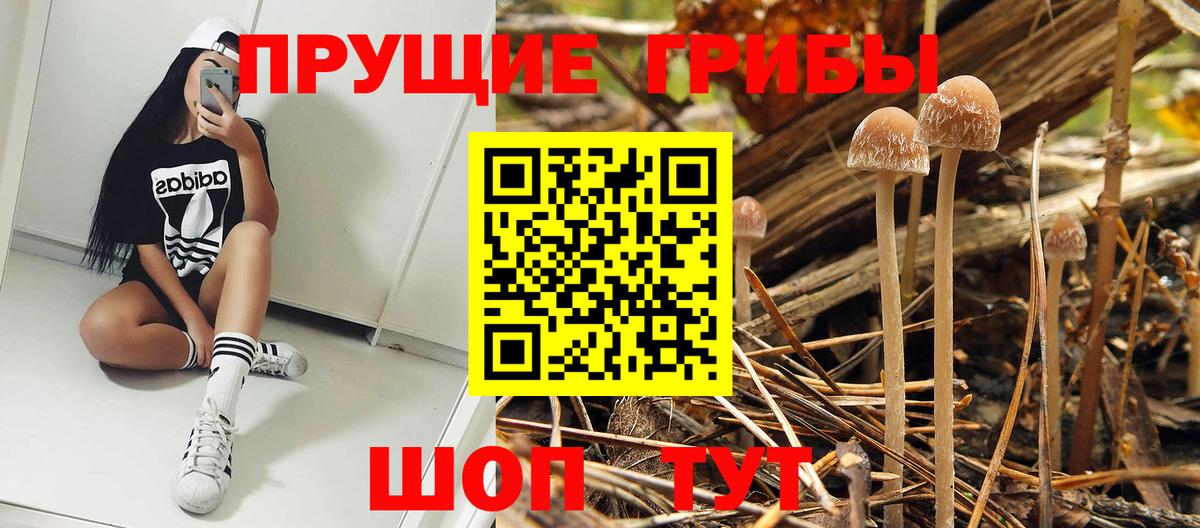 Псилоцибиновые грибы Psilocybine cubensis  купить наркотик  Вход с VPN  Заринск  Галлюциногенные грибы Psilocybe 