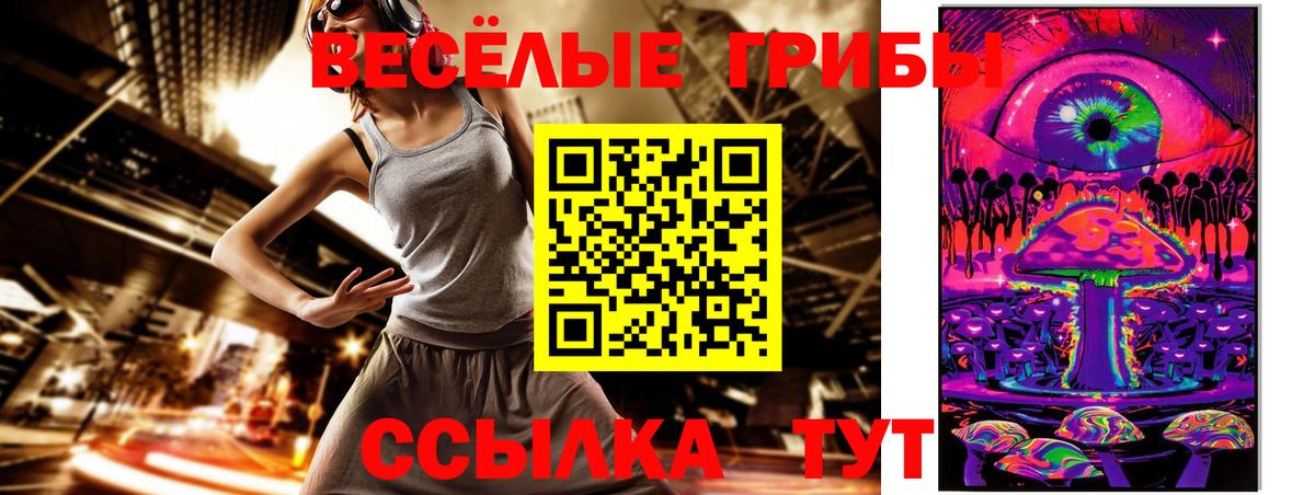 Галлюциногенные грибы Psilocybe Заринск